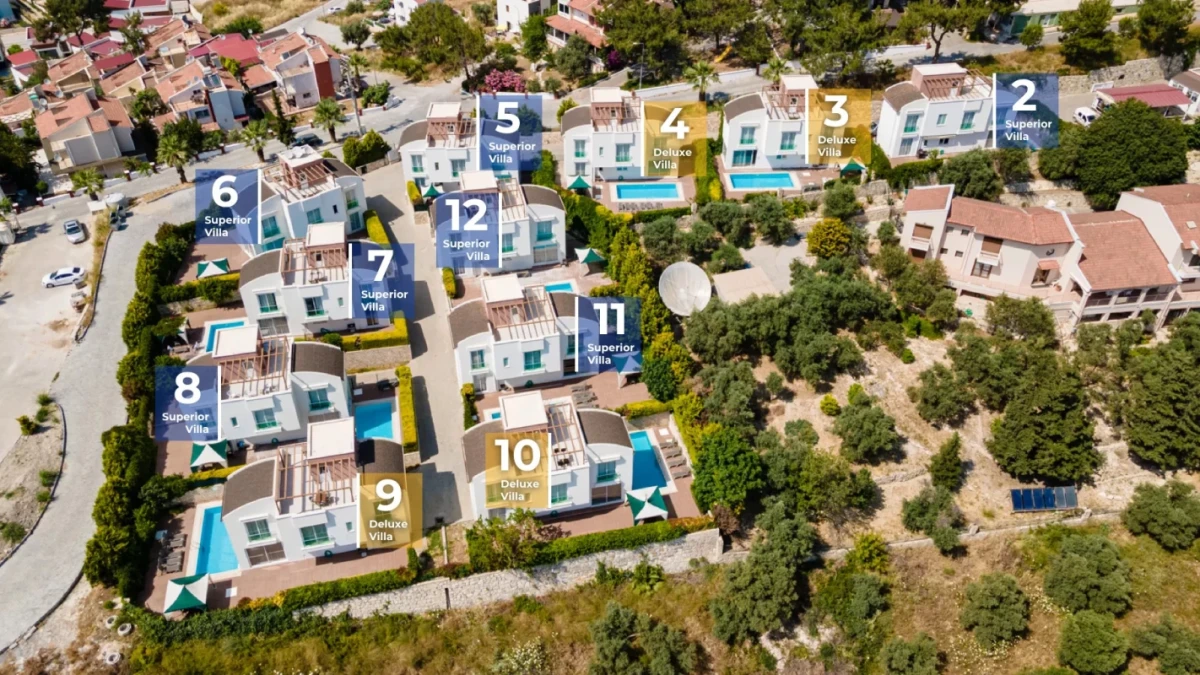 Aerial view of numbered villa layout
