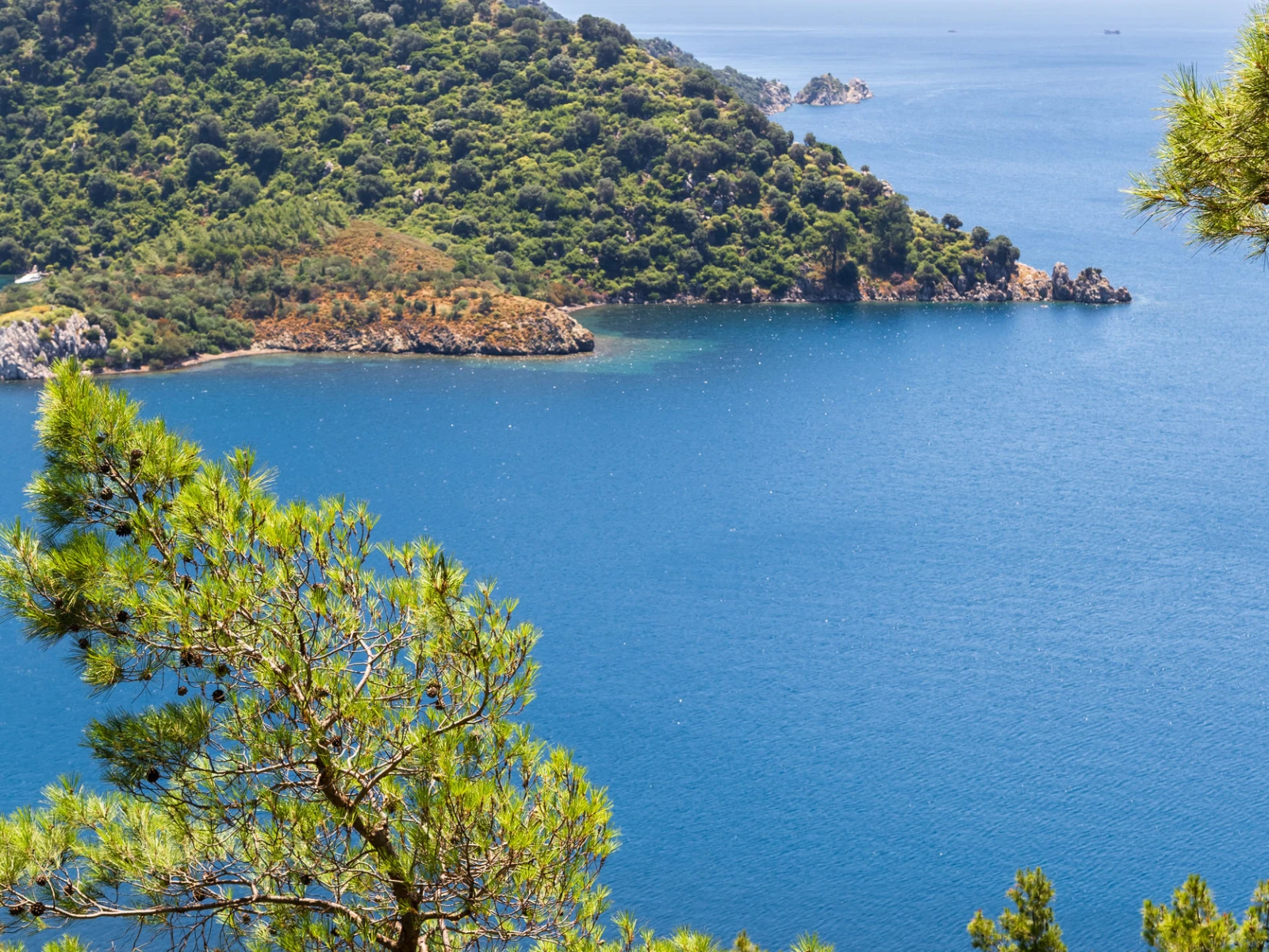 davutlara yakın dilek milli parkı