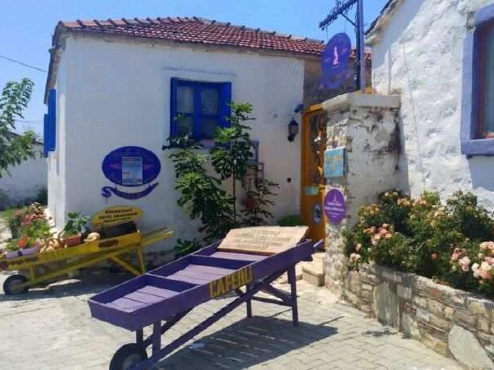 caferli köyü kuşadası