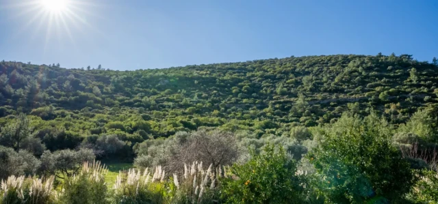 Bahçecik Gorge Mountain View
