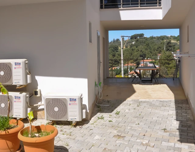 ormanmanzarali2-giris