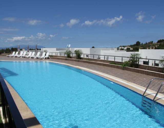 lavender-poolview1-pool