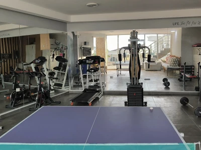 table tennis table at lavender